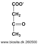 Strukturen af acetoacetationen