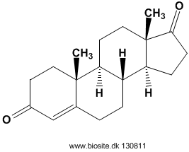 Strukturen af androstendion