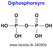 Strukturen af diphosphorsyre