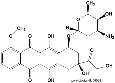 Strukturen af doxorubicin