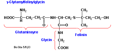 Strukturen af gamma-glutamylfelinylglycin