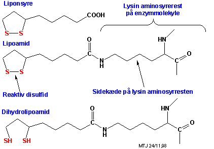 Strukturerne af liponsyre, lipoamid og dihydrolipoamid