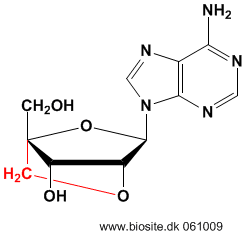 Strukturen ag LNA-adenosin