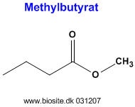 Strukturen af methylbutyrat