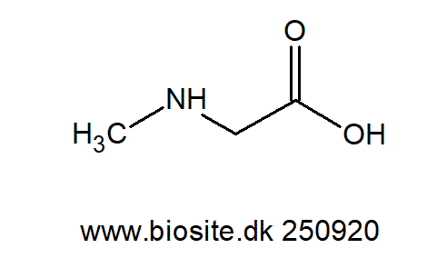 Strukturen af sarcosin