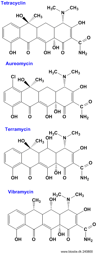 Den kemiske struktur af udvalgte tetracycliner