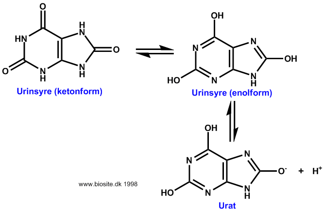 Urinsyre keton-enol tautomeri